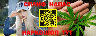 гашик Нарткала